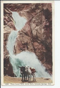 1928 Three Lower Falls,7 Falls, Cute Mules, Colorado Springs, Colorado Postcard