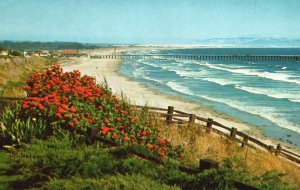 Vintage Postcard Sand Surf and Flowers Sandy Beach at Pismo Beach California CA