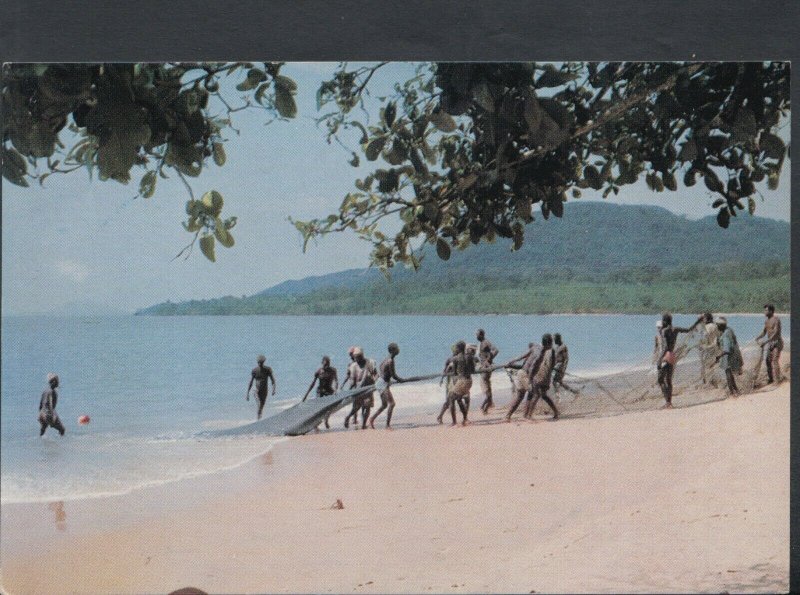 Sierra Leone Postcard - Fishermen on Mamah Beach    T8760