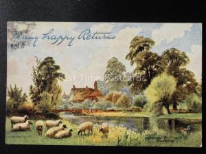 Hampshire: Riverside Pastures, Ringwood c1909 by Raphael Tuck & Sons 7113