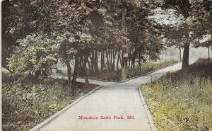 A75/ Mountain Lake Park Maryland Md Postcard c1910 Boardwalk Sidewalk 