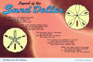 VINTAGE CONTINENTAL POSTCARD LEGEND OF SAND DOLLAR GREETINGS FROM BAHAMAS 1980