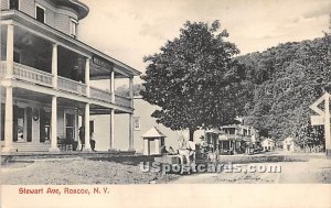 Stewart Avenue - Roscoe, New York NY Postcard