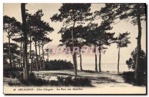 Old Postcard Arcachon Cote d'Argent at Park Abatilles