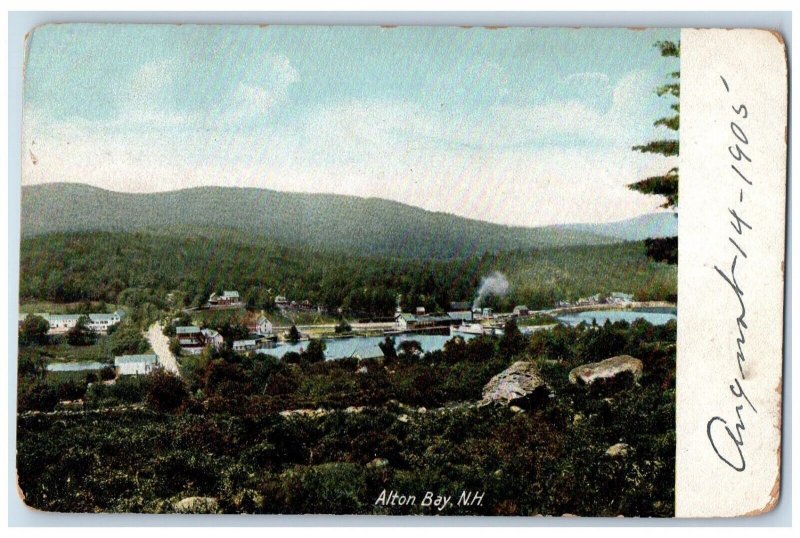 c1905 Aerial View Lake Tree Steamer Alton Bay New Hampshire NH Vintage Postcard