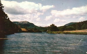 Vintage Postcard Long Pond at Seal Harbor Mt. Desert Island Maine ME