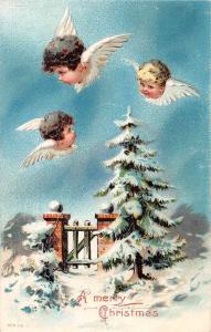 Christmas Greetings Angels Cherubs Antique Postcard J46340
