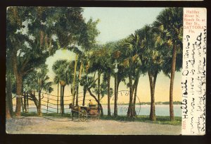 Daytona, Florida/FL Postcard, Horse & Wagon At Beach & Bay Streets, 1907!