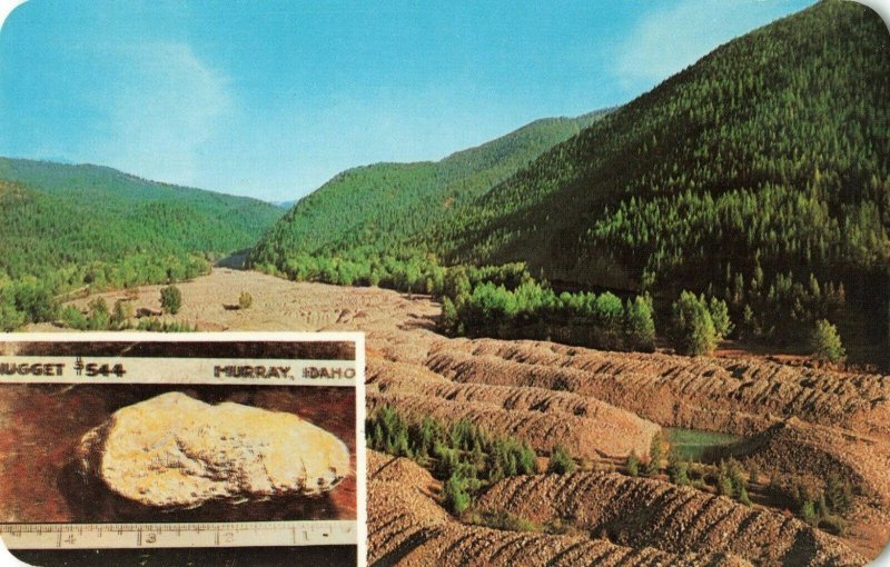 Postcard Gold Mining Gravel Windrows Idaho 