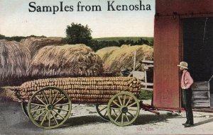 13062 Exaggeration: Corn From Kenosha, Wisconsin 1912