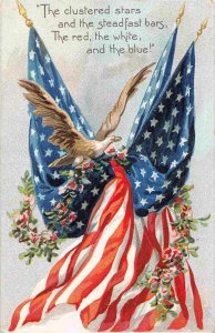 Stars & Stripes Flag Red White Blue Decoration Day 1909 Tuck postcard