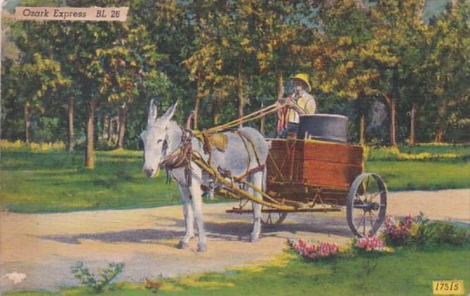 Missouri Ozark Express Donkey Cart