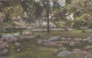 North Carolina Greensboro The Formal Garden With The Overhead Bridge In The B...