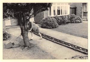 uk6279 mowing the lawn  uk gardening grass cutting