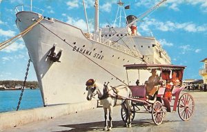 SS Bahama Star Eastern Steamship Line Ship 1966 