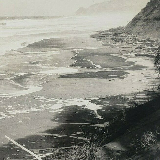 View Near Gleneden Beach Oregon Coast Lincoln County RPPC Photo Postcard F134