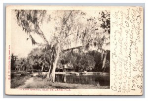 Vintage 1900s Postcard De Leon Springs, Near De Land, Florida, Black and White