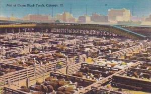 Illinois Chicago Part Of Union Stock Yards