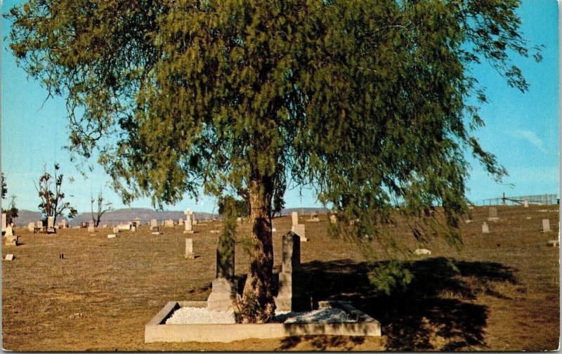 Agua Mansa Cemetery Resting Place Pioneers New Mexico NM Postcard Columbia UNP 