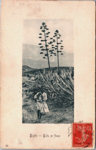 Algeria Aloës en Fleurs Boy with a Basket on His Back Vintage Postcard C217