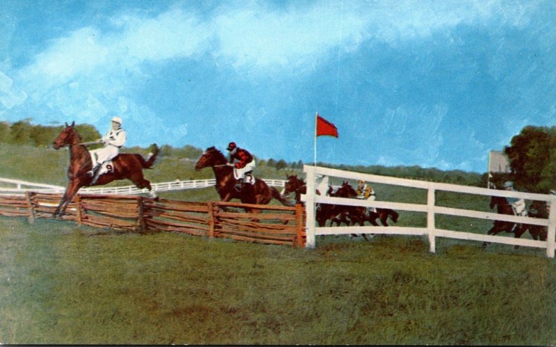 Virginia Warrenton Timber Jump Gold Cuo Races Cross-Country Horse Racing