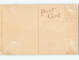 Divided-Back POSTCARD FROM Sitka Alaska AK HM7847