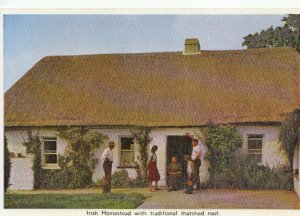 Ireland Postcard - Irish Homestead With Traditional Thatched Roof - Ref TZ8903