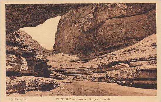 Tunisia Dans les Gorges du Seldja