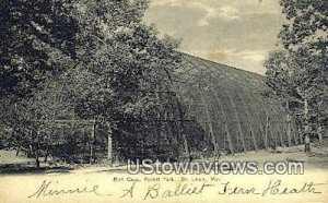 Bird Cage, Forest Park - St. Louis, Missouri MO Postcard