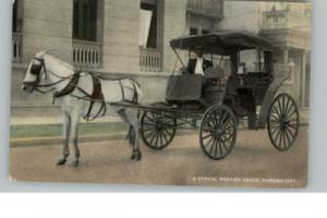 PANAMA CITY PANAMA Horse & Carriage c1910 Postcard