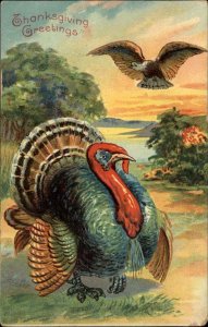 Thanksgiving American Eagle Flies over Turkey c1910 Vintage Postcard
