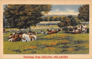 Seiling Oklahoma Greetings From numerous cows in field antique pc ZC548617