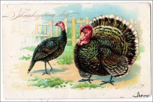 Thanksgiving, Pair of Turkeys by R J Wealthy / Tuck's