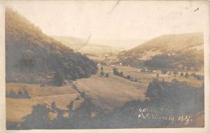 Petersburg New York Scenic Birdseye View Real Photo Antique Postcard K38472