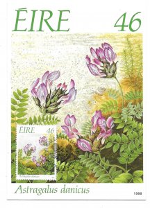 Ireland Scott 722 FDC Maxi Card 46p Conservation of Flora issue of 1988, Flower