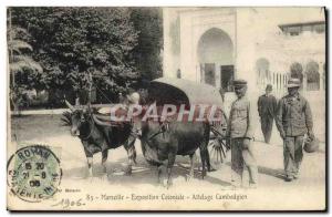 Old Postcard Marseilles Colonial Exhibition hitch Cambodian Top Oxen Cambodia