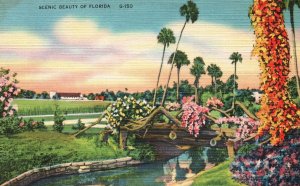 VINTAGE POSTCARD SCENIC BEAUTY OF FLORIDA PANORAMIC COUNTRYSIDE VIEW ON LINEN