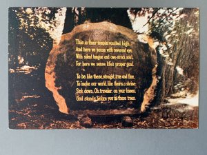 Plaque The Redwoods By Joseph B. Strauss CA Chrome Postcard A1166084754