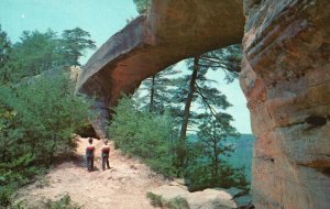 Vintage Postcard Beneath Sky Bridge Cumberland Nat'l Forest Wolf County Kentucky