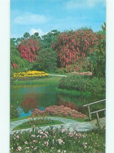 Pre-1980 CYPRESS GARDENS Winter Haven - Near Lakeland & Lake Wales FL AF5987