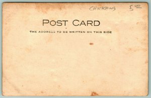 RPPC Toddler Boy Feeds Chicken in Barn From Bucket Of Field Corn~c1906 Postcard