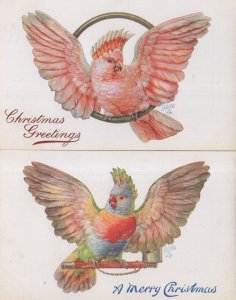 Pretty Polly 2x Antique Tucks Oilette Old Rare Postcard s