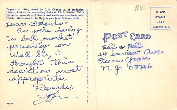 Emperor Jr. 10th, Brahman Bull Bradenton, Florida  