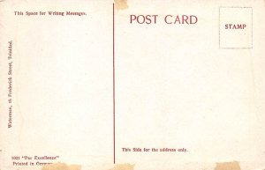 Cabbage Palms Savana Trinidad Postcard