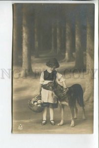 439229 Grey WOLF & Little Red Riding Hood Girl FAIRY TALE Vintage PHOTO postcard