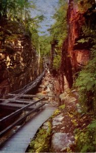 New Hampshire White Mountains Franconia Notch The Flume Gorge