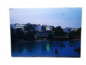 The Lake & Sciences At Night Flinders University Adelaide Australia Vtg Postcard