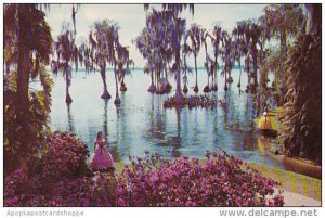 Florida Cypress Gardens Beautiful Cypress Gardens