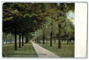 1908 Campus University Michigan Park Trees Ann Arbor Michigan Vintage Postcard