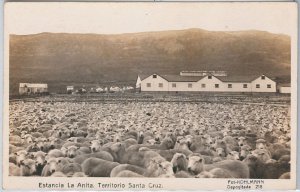 38910 - ARGENTINA -  Vintage Postcard - TERRITORIO SANTA CRUZ: Estancia La Anita